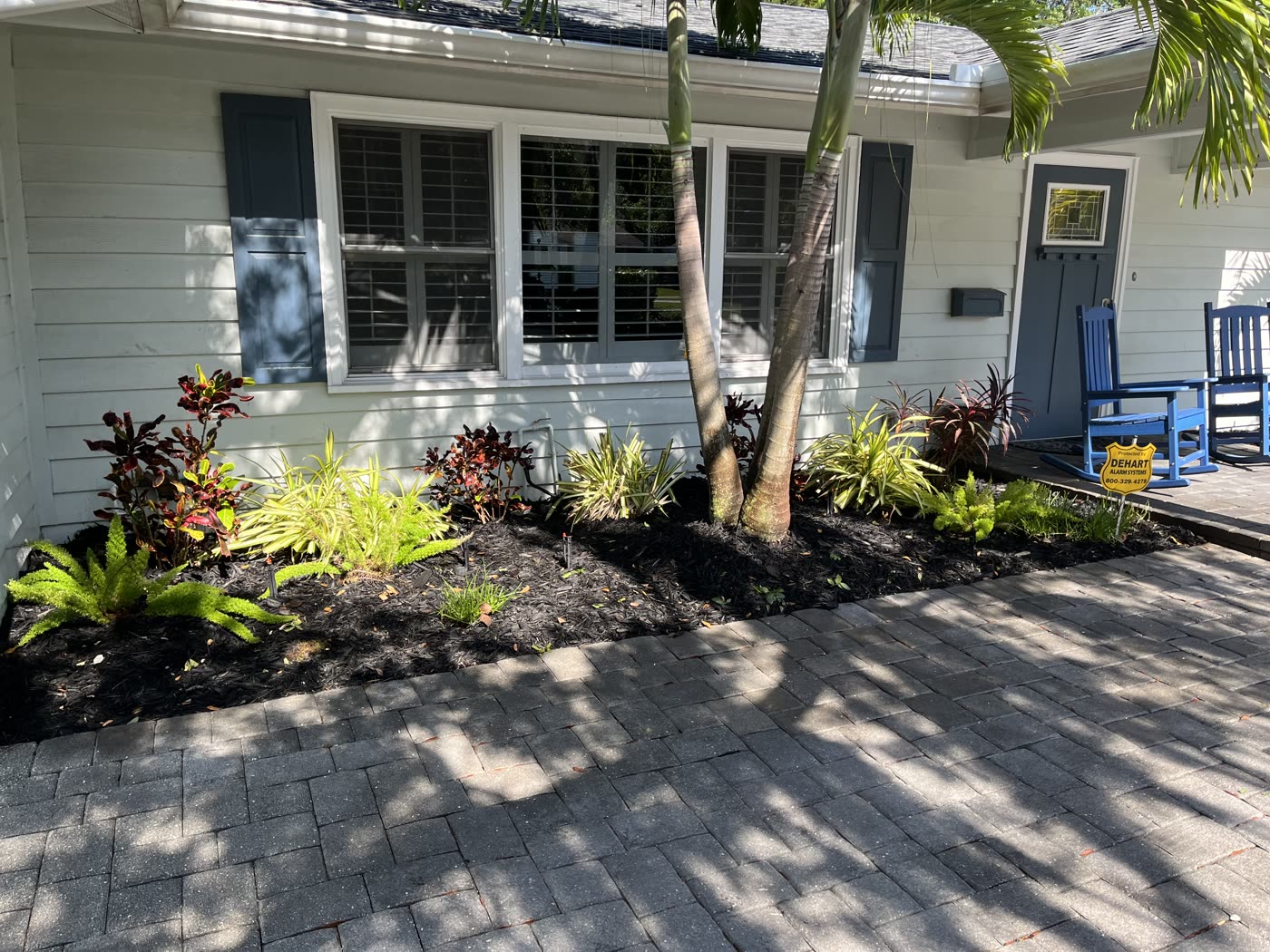 Fresh black mulch bed with crotons and a paver walkway at a North Port home