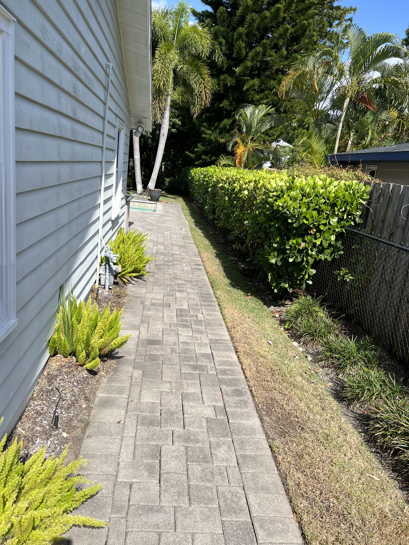 Paver side walkway with neatly trimmed ferns and hedge