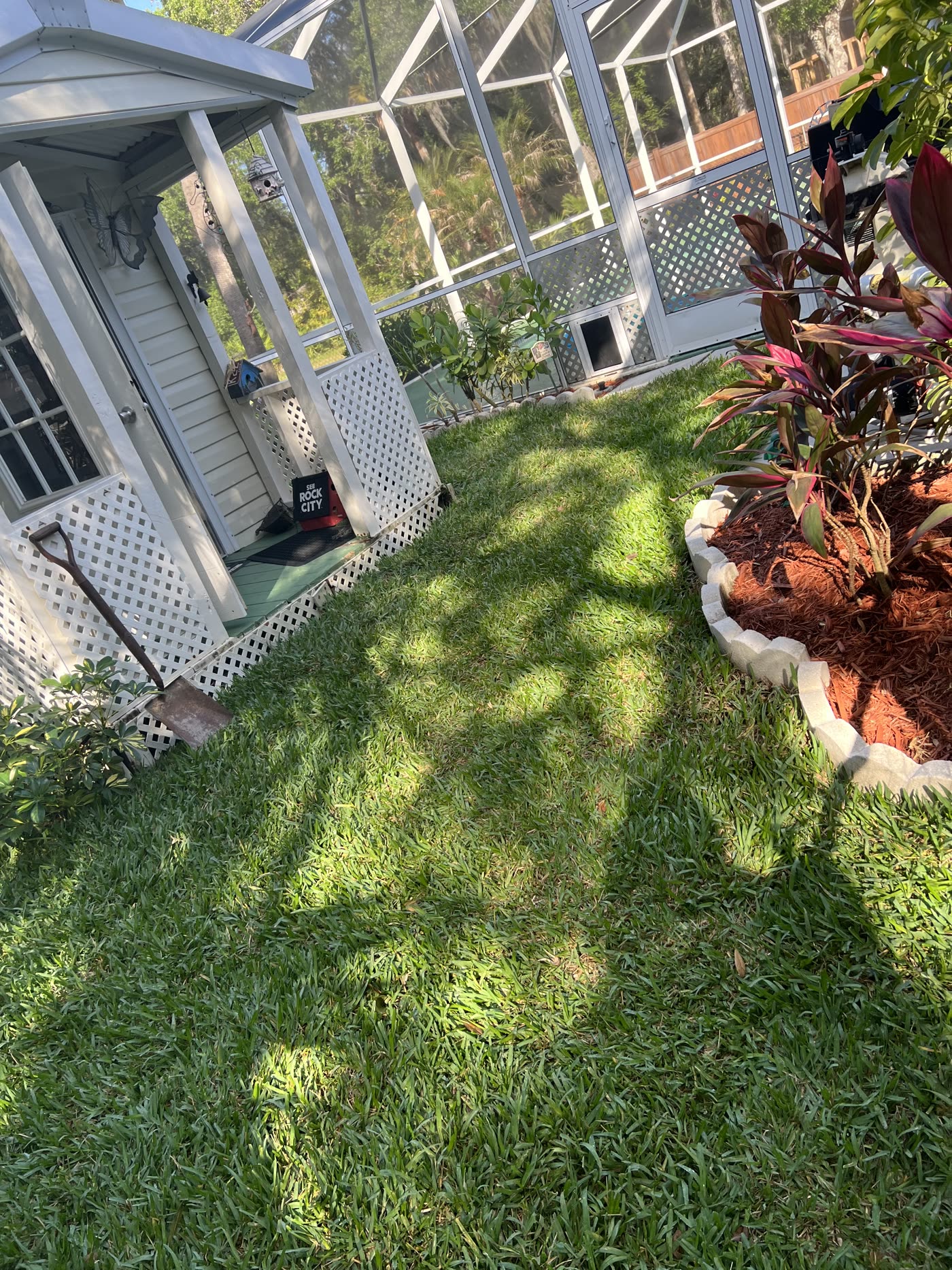 Maintained backyard lawn and mulch bed beside a screened lanai