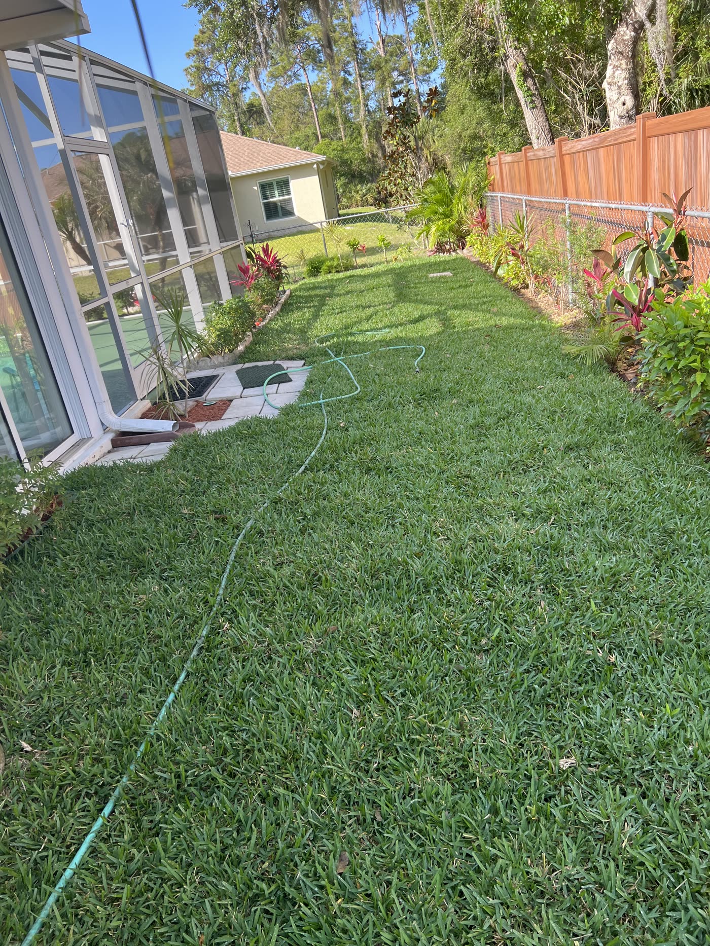 Healthy mowed backyard lawn with a privacy fence in North Port